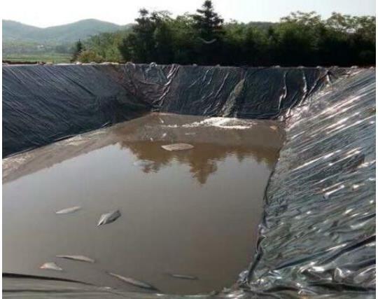 ˮ�a�Bֳ���BĤʩ���F��